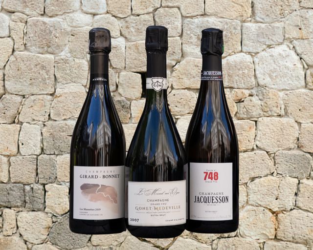Bouteilles de la sélection Vignerons champenois engagés